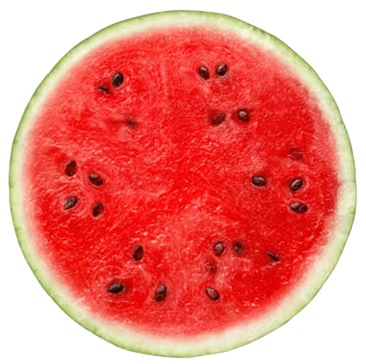 image 11 1